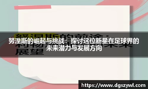 星空xingkong官网