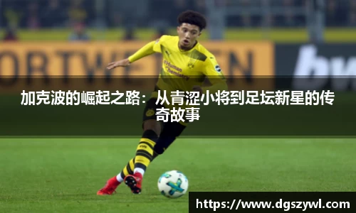 星空xingkong官网